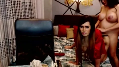 Two nasty tranny Playfully nail Each Other
