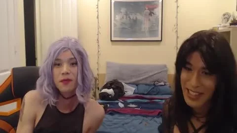 CD bonks CD cam