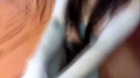 Leo-trannies.Com - Chinese lady-man Hooker S